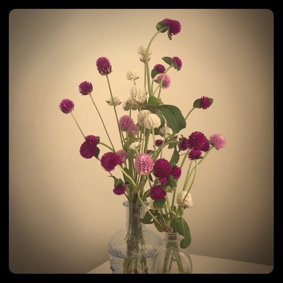 Meet your Posher, Travelwide - Picture 1 of 1